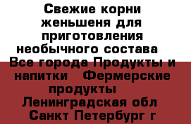 Свежие корни женьшеня для приготовления необычного состава - Все города Продукты и напитки » Фермерские продукты   . Ленинградская обл.,Санкт-Петербург г.